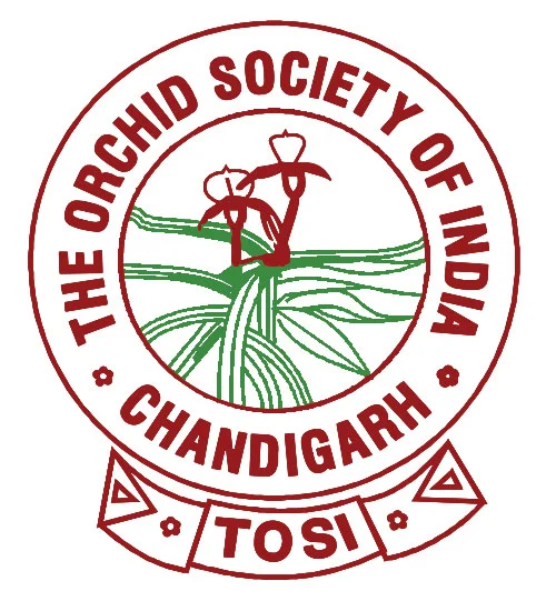 TOSI