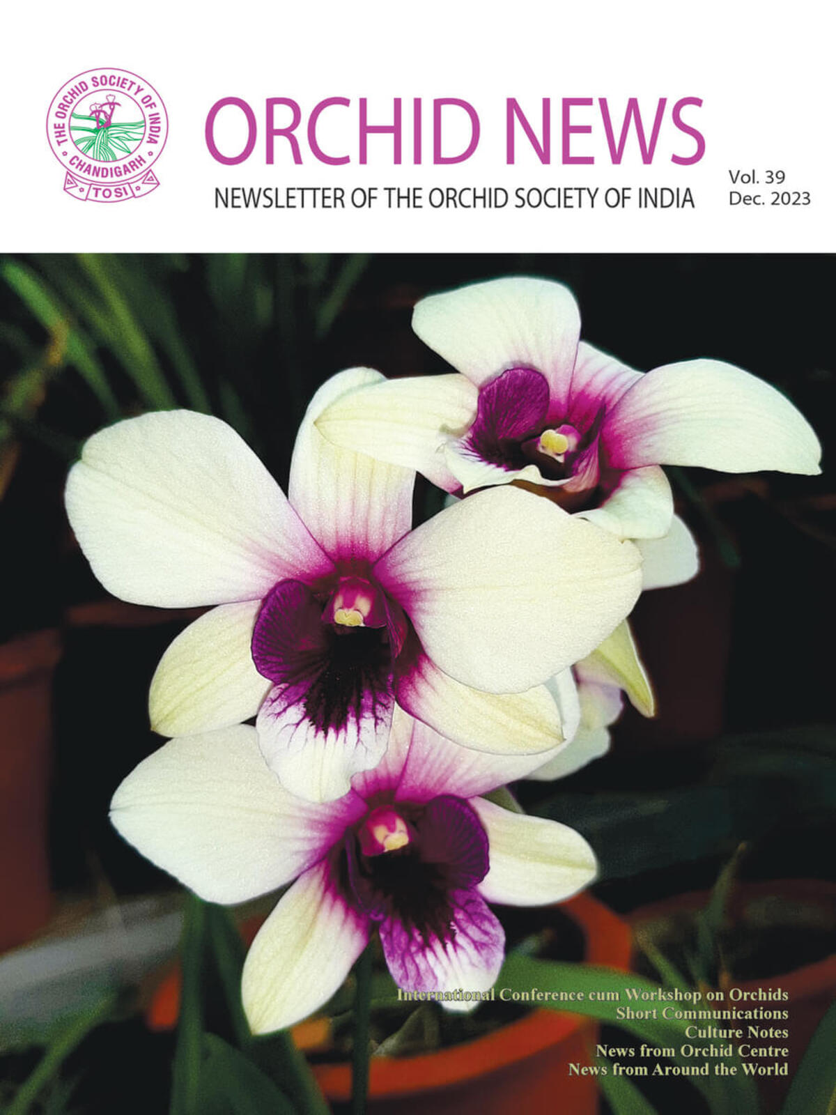 Orchid Newsletter 2023