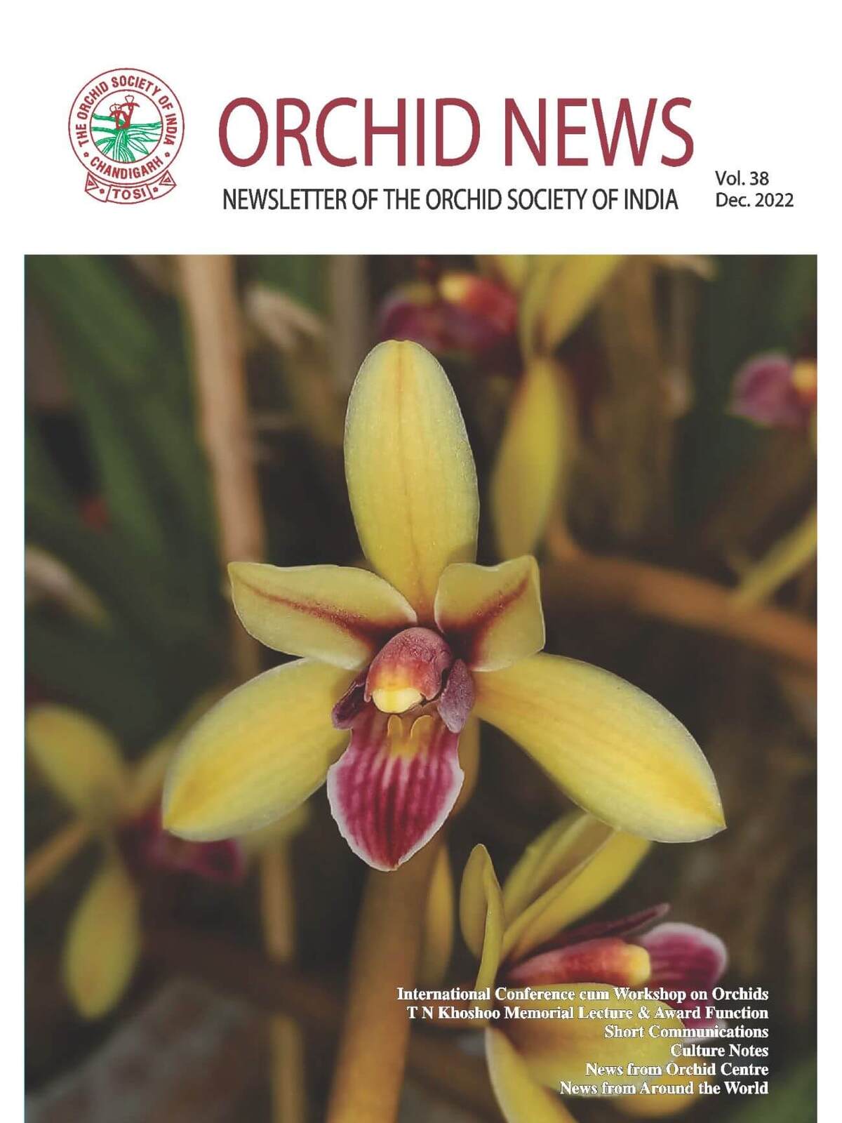 Orchid Newsletter 2022