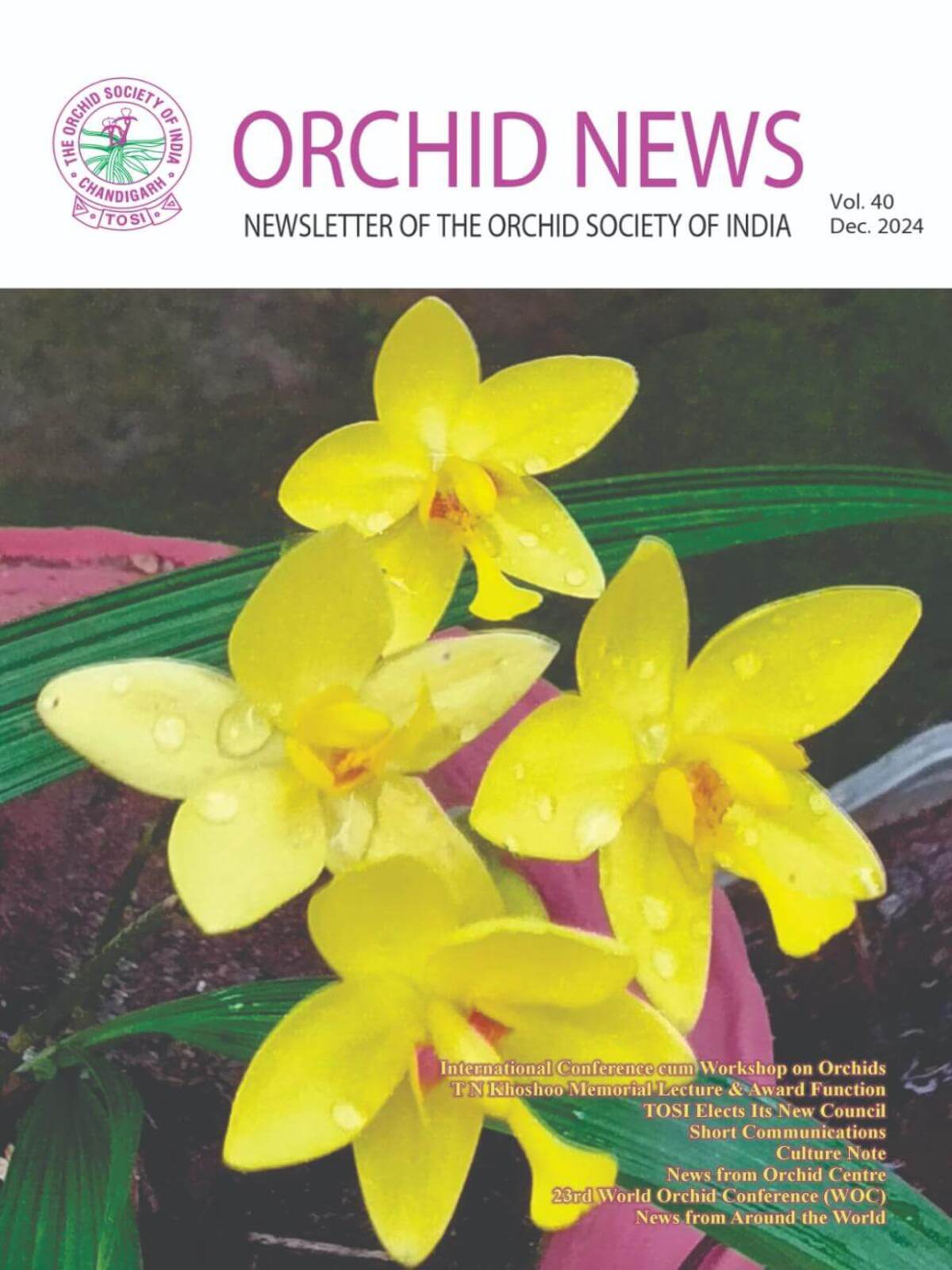 Orchid Newsletter 2024