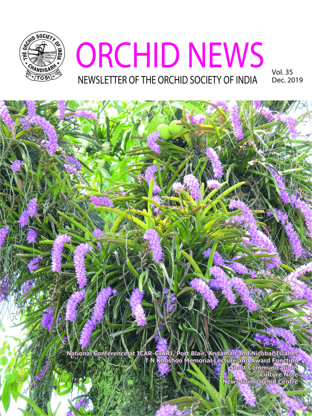 Orchid Newsletter 2019