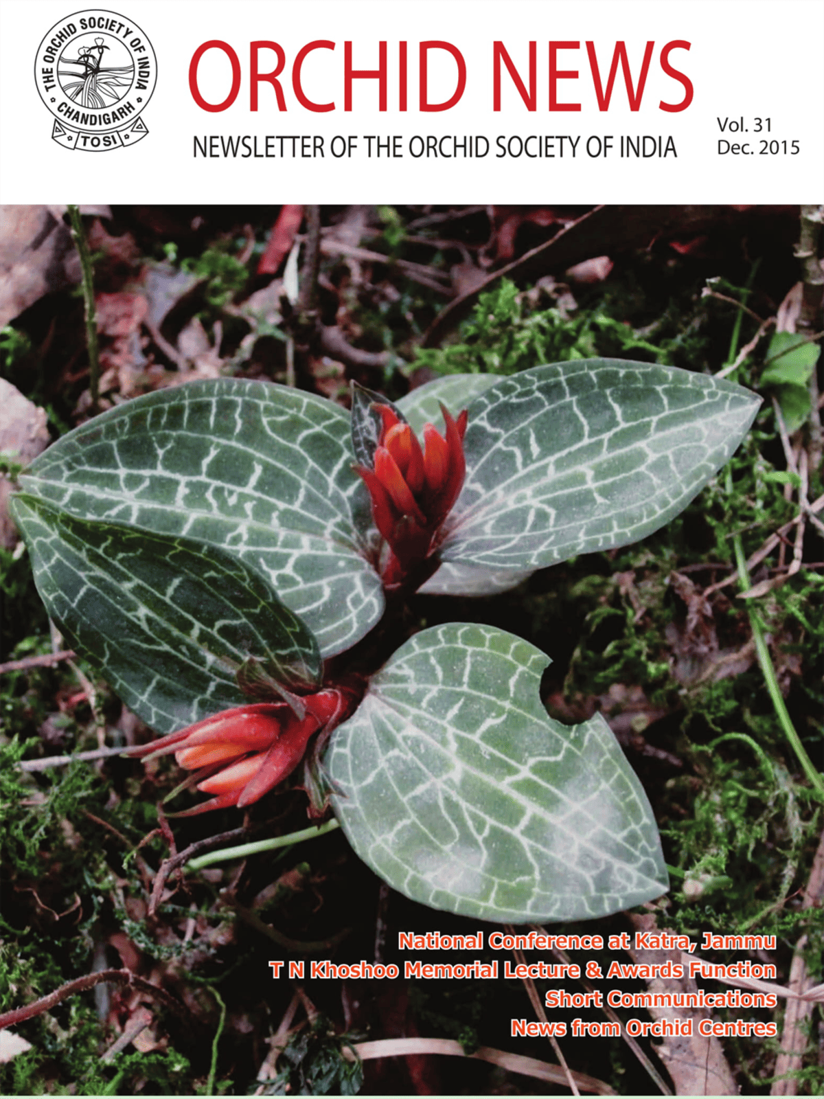 Orchid Newsletter 2015