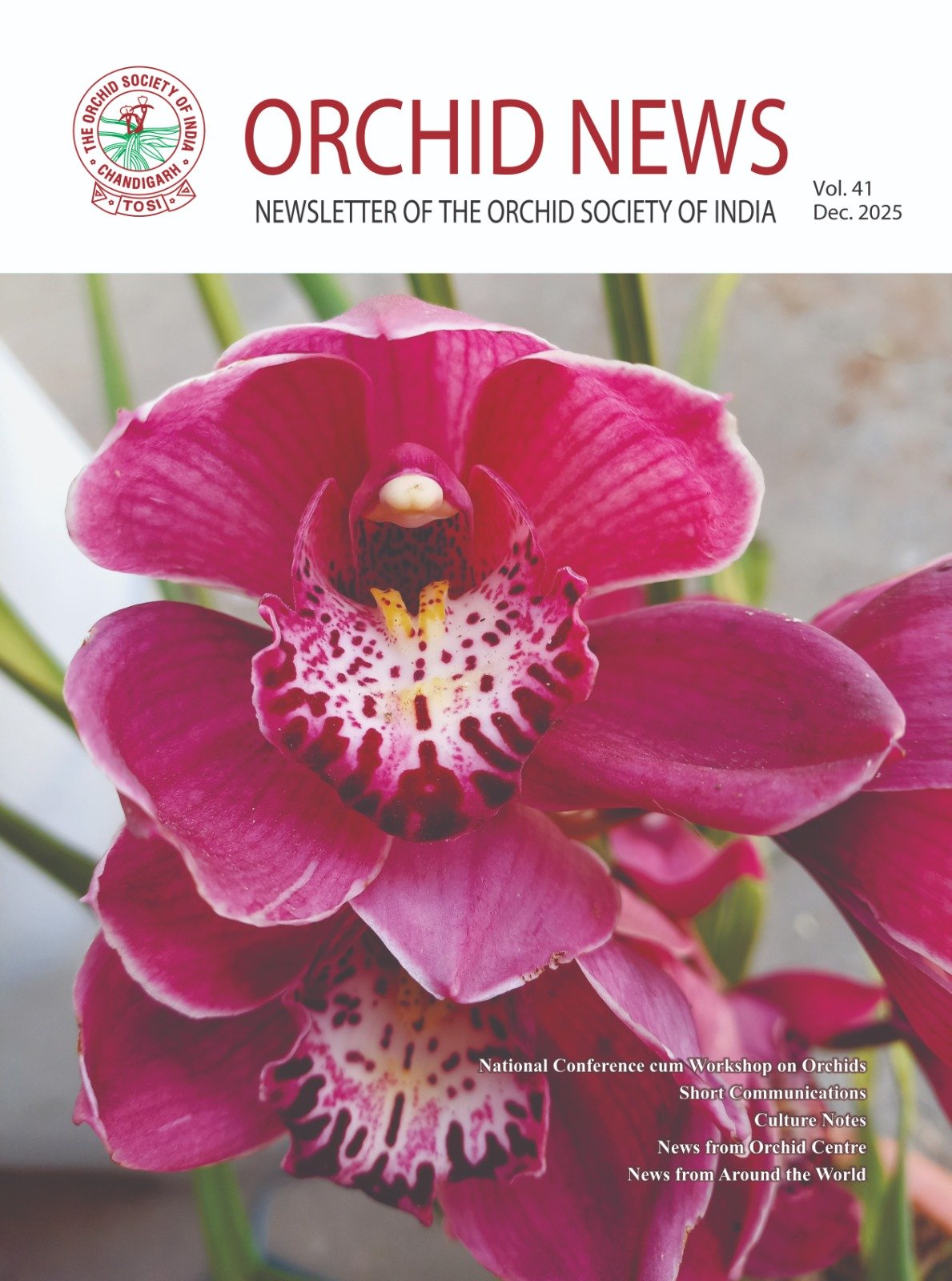 Orchid Newsletter 2025